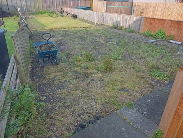 Full garden renovation — before