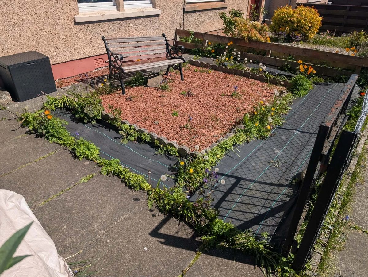 Garden tidy up — before