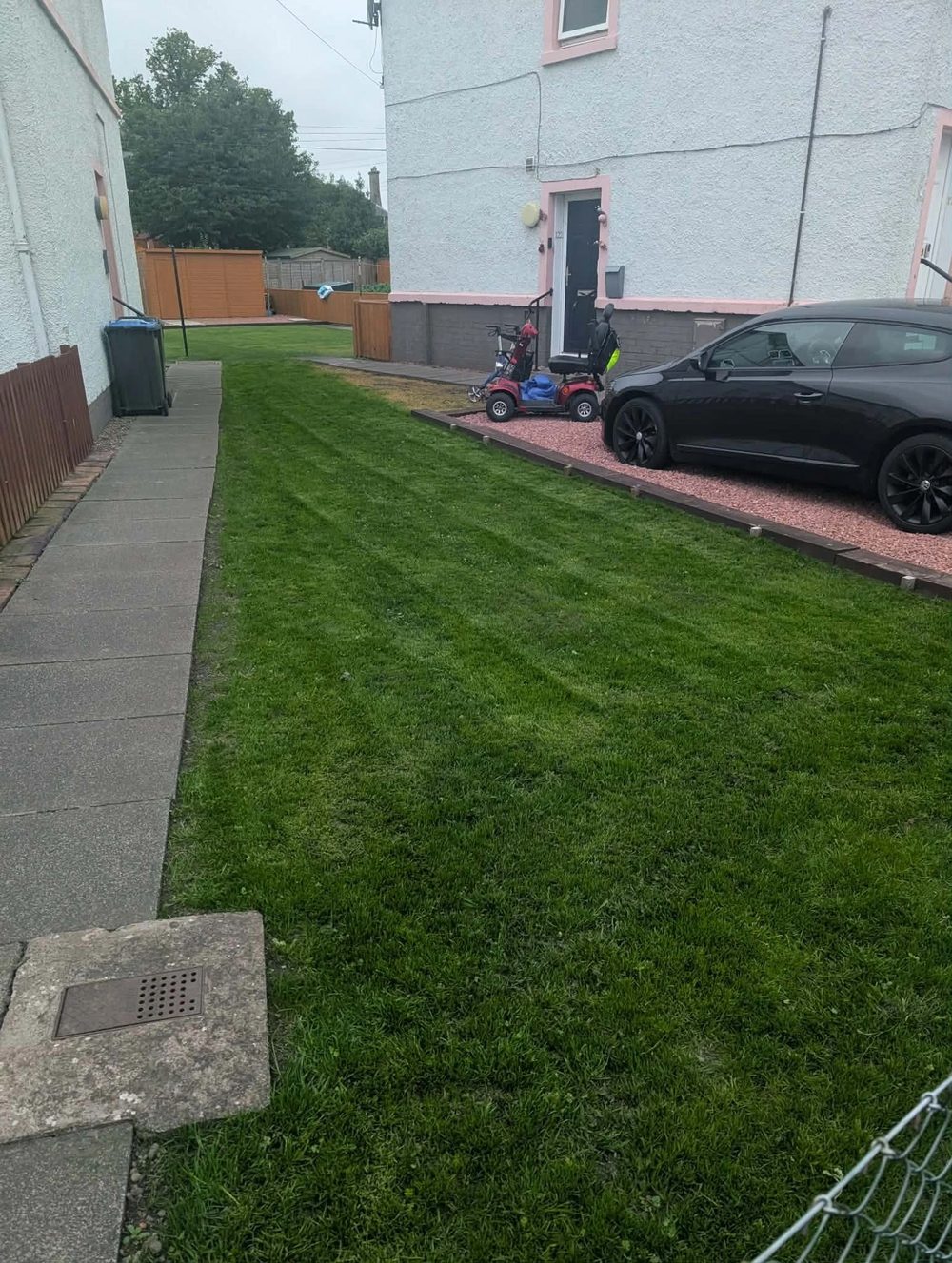 Rotovated & new lawn seeded — after